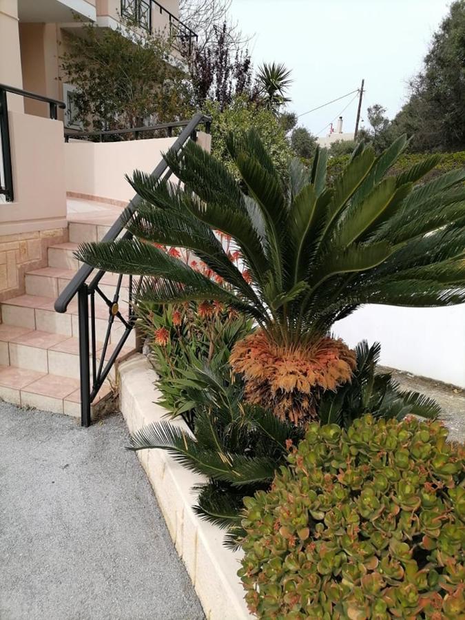 Kydoni Apartments And Studios Agia Marina  Екстер'єр фото