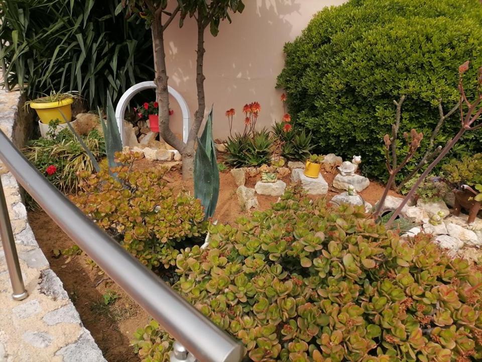 Kydoni Apartments And Studios Agia Marina  Екстер'єр фото